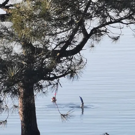 Alloggio in famiglia Les Pieds Dans L'eau